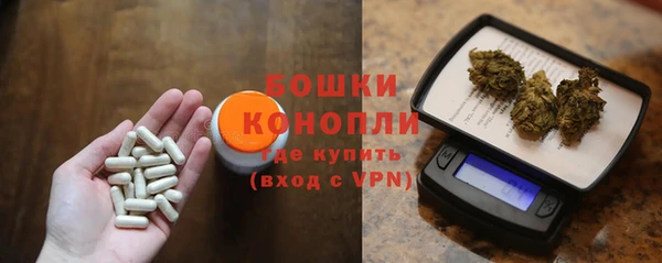 амф Вяземский