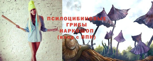 амф Вяземский