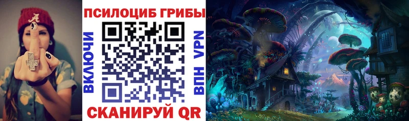 сколько стоит  Долинск  shop наркотические препараты  Галлюциногенные грибы Psilocybe 